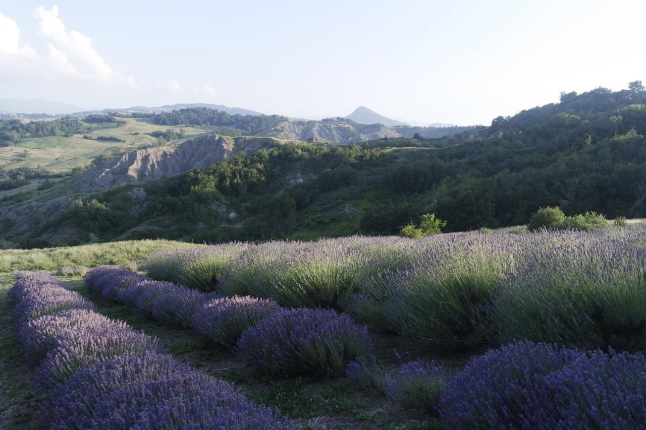 Bed and Breakfast Casale Monte Valestra Bebbio Exterior foto