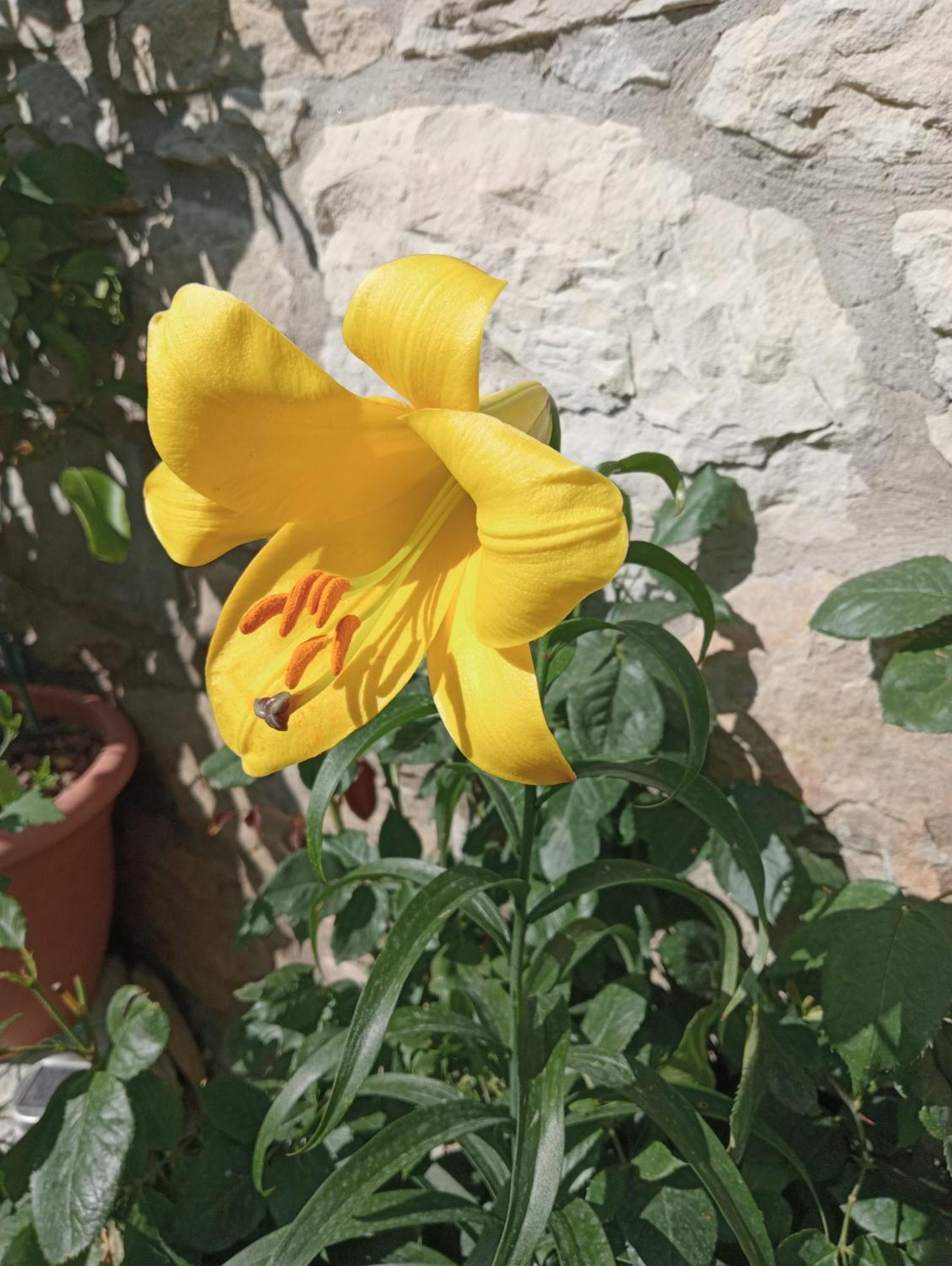 Bed and Breakfast Casale Monte Valestra Bebbio Zimmer foto